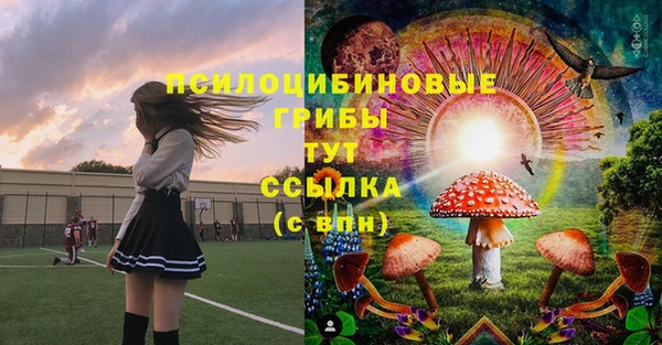 гашик Верхний Тагил