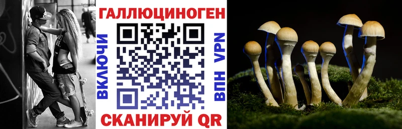 Псилоцибиновые грибы Magic Shrooms  Киселёвск 